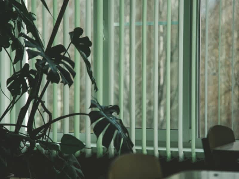 Жалюзи для школ