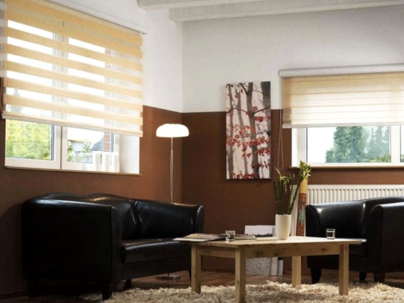 Рулонные шторы Зебра День-Ночь