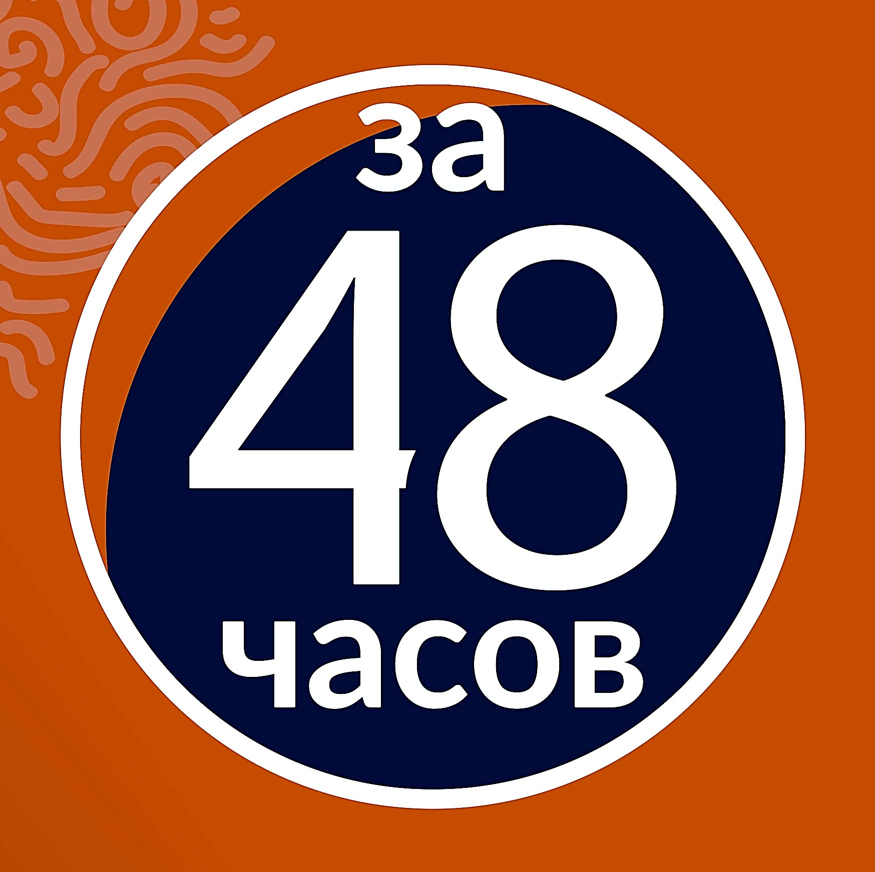 Акция Жалюза за 48 часов
