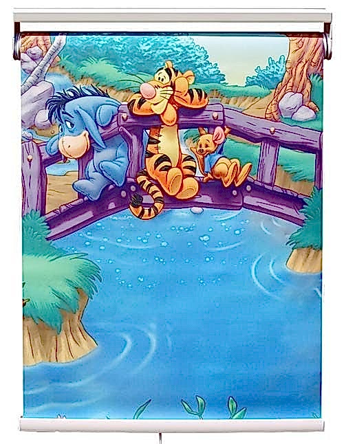 Рулонные фото жалюзи на пластиковые окна в детской комнате